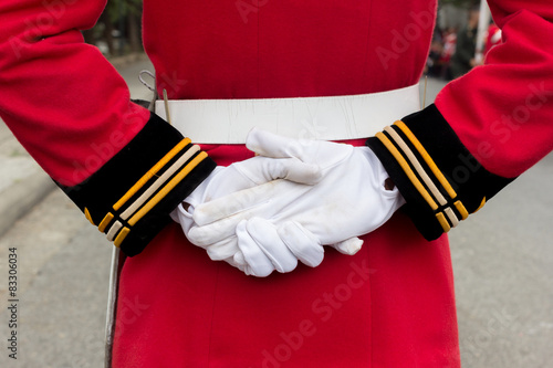 hands of a royal guard wearing white gloves photo