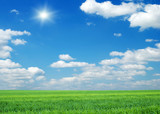 Green field, blue sky and sun