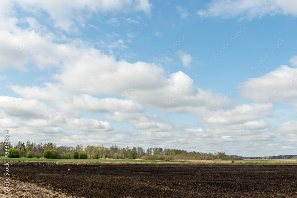 countryside fields in early spring