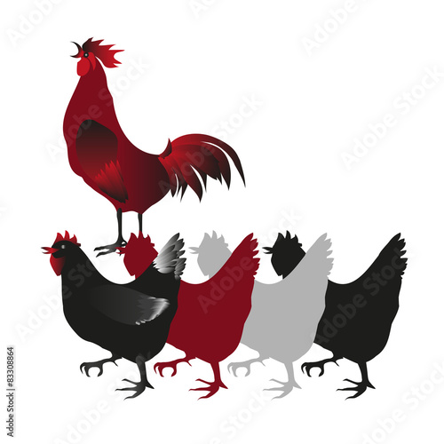 Marching chickens