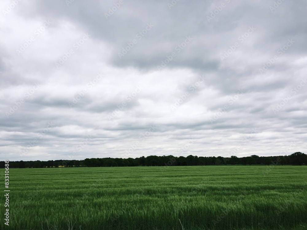 Feld mit Wolken