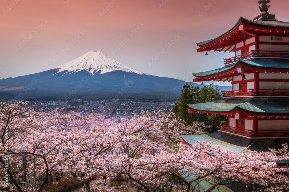 Obraz premium Pagoda Chureito z sakura i pięknym widokiem Mt.fuji