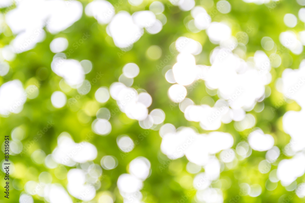 Fototapeta premium Hintergrund Frühling