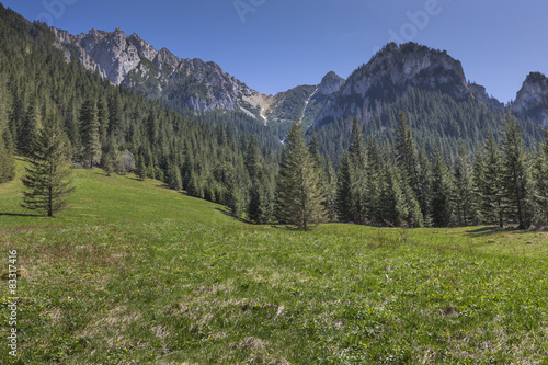 Panorama of Tatra Mountains in spring time, Poland © Curioso.Photography