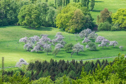 Siebengbierge- Ausblick vom Oelberg