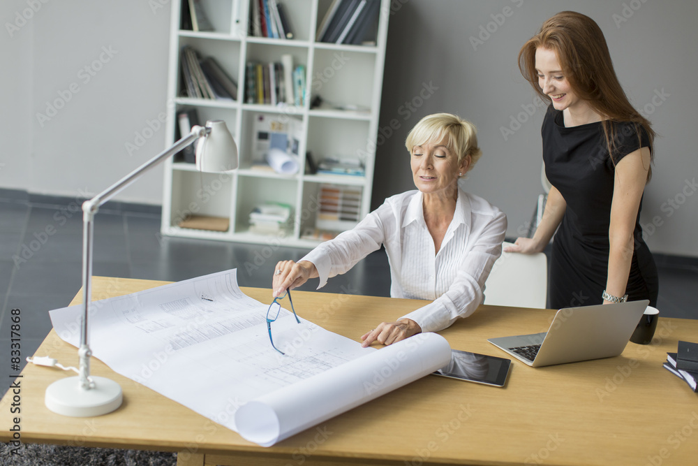 Obraz premium Women working in the office