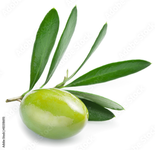 Wallpaper Mural Olive with leaves on a white background. Torontodigital.ca