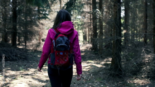 Wallpaper Mural Young woman trekking through the forest
 Torontodigital.ca
