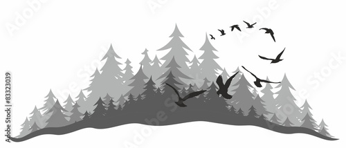 Coniferous forest with birds.