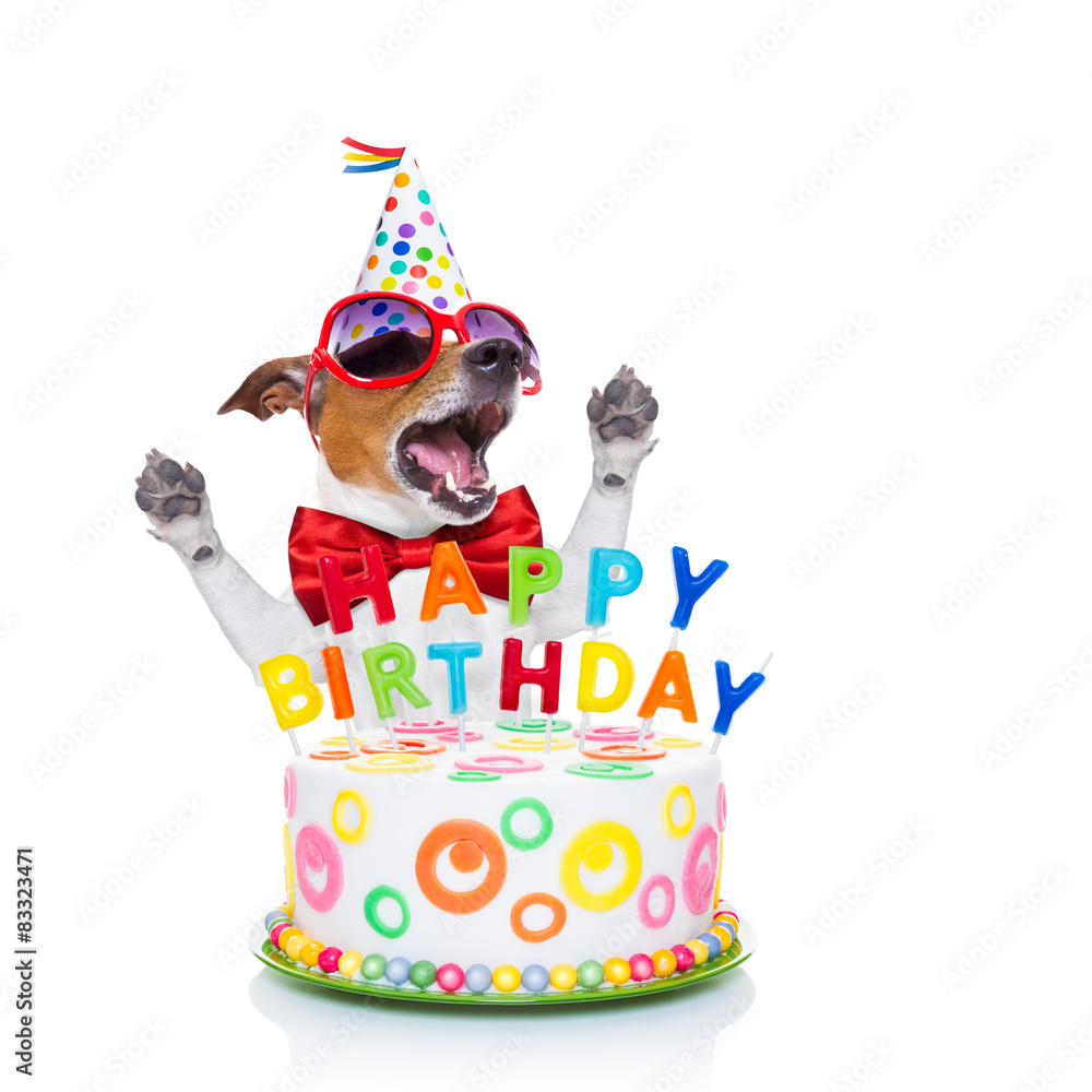 happy birthday dog singing Stock-foto | Adobe Stock