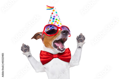happy birthday dog singing © Javier brosch