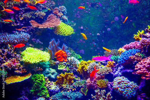 Fototapeta Naklejka Na Ścianę i Meble -  Coral Reef and Tropical Fish