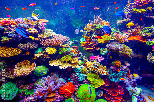 Slika na platnu Singapore aquarium