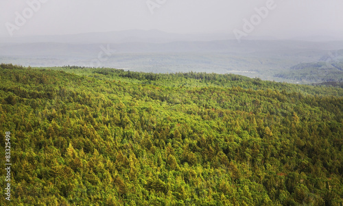 Mountain near Vestochka. Russia