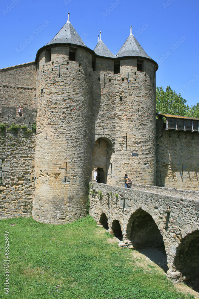 Obraz premium la Cité de Carcassonne