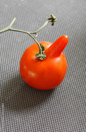 Fotografie POMODORO CON PROTUBERANZA