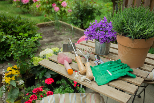 Fototapeta Naklejka Na Ścianę i Meble -  Schone Blumen im Garten