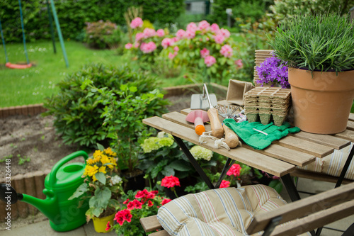 Fototapeta Naklejka Na Ścianę i Meble -  Schone Blumen im Garten