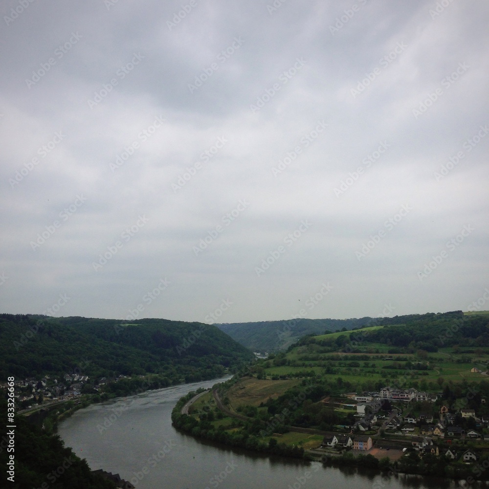 Fototapeta premium mosel