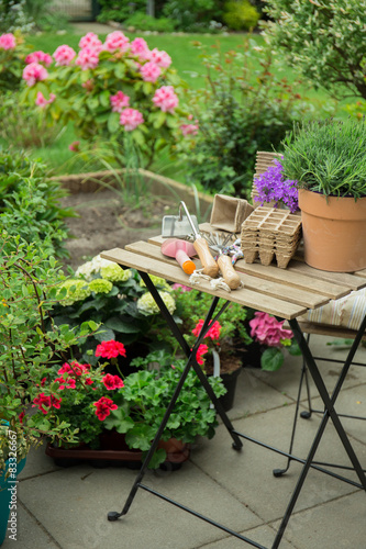 Fototapeta Naklejka Na Ścianę i Meble -  Schone Blumen im Garten