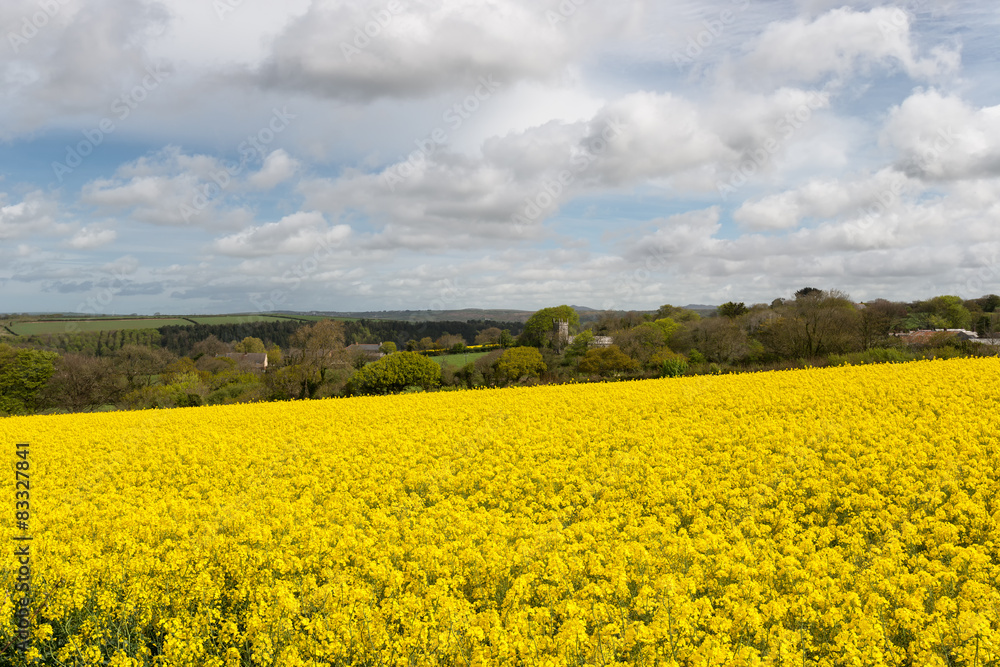 English Countryside in Spring