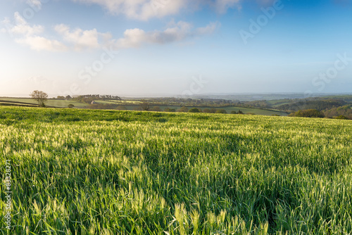 English Countryside