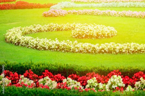 Beautiful flower garden in Schonbrunn palace - Vienna Austria