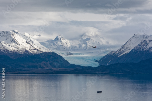 Hercules against Grewingk Glacier © latitude59