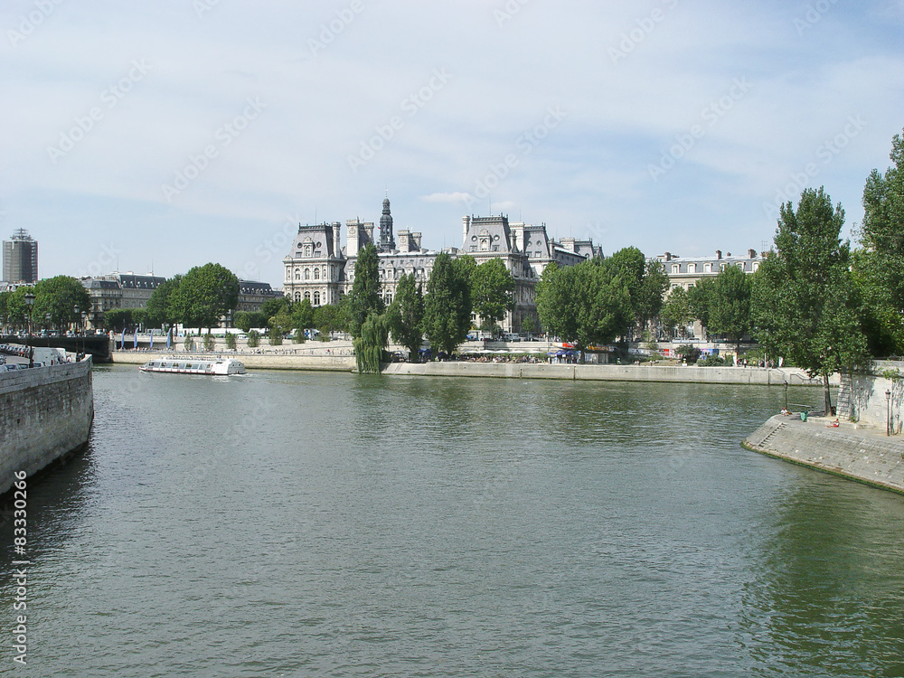Obraz premium la seine à PARIS