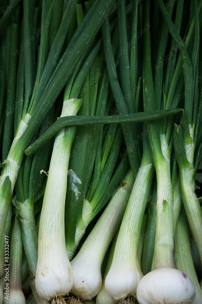 Close up of chives 