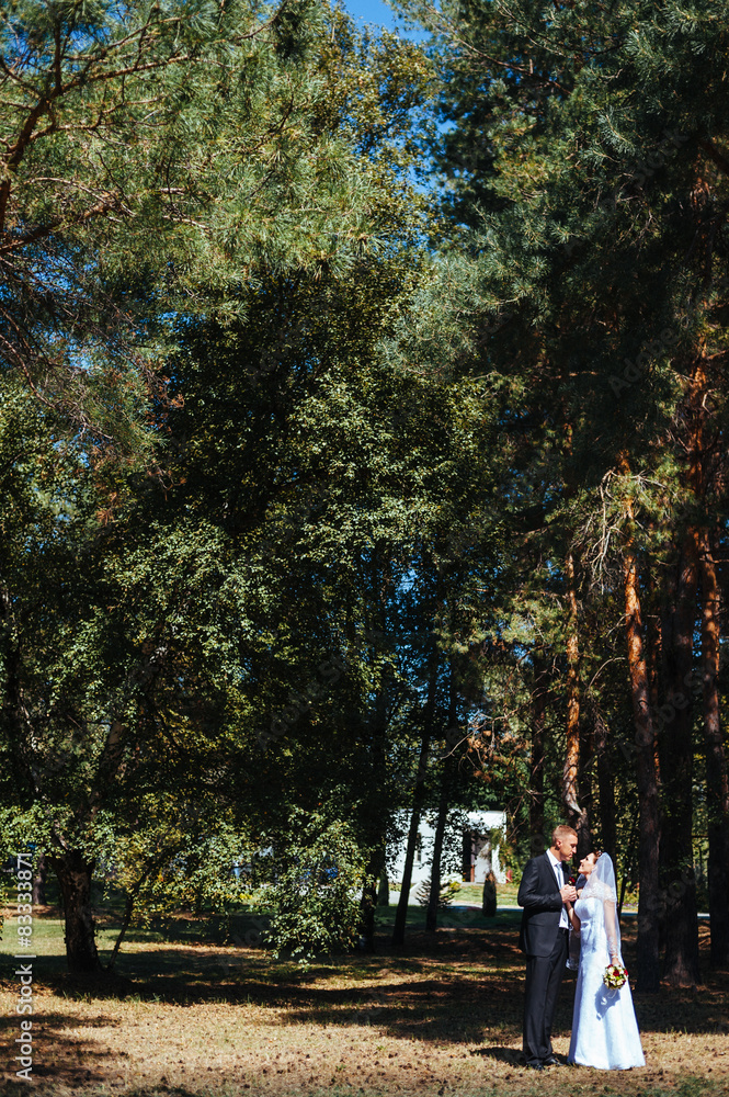 Bride and Groom at wedding Day walking Outdoors on spring nature Bride and Groom at wedding Day walking Outdoors on spring nature