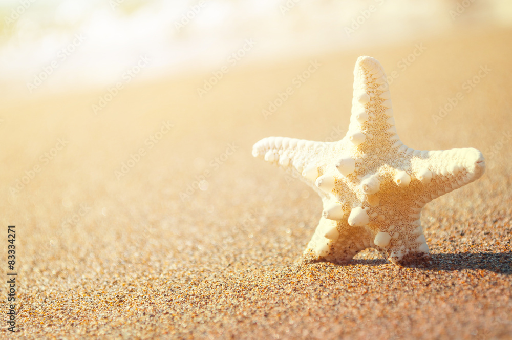 White starfish on sunny tropical beach