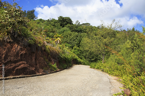 Scenic road on Mount Zimbvabve.