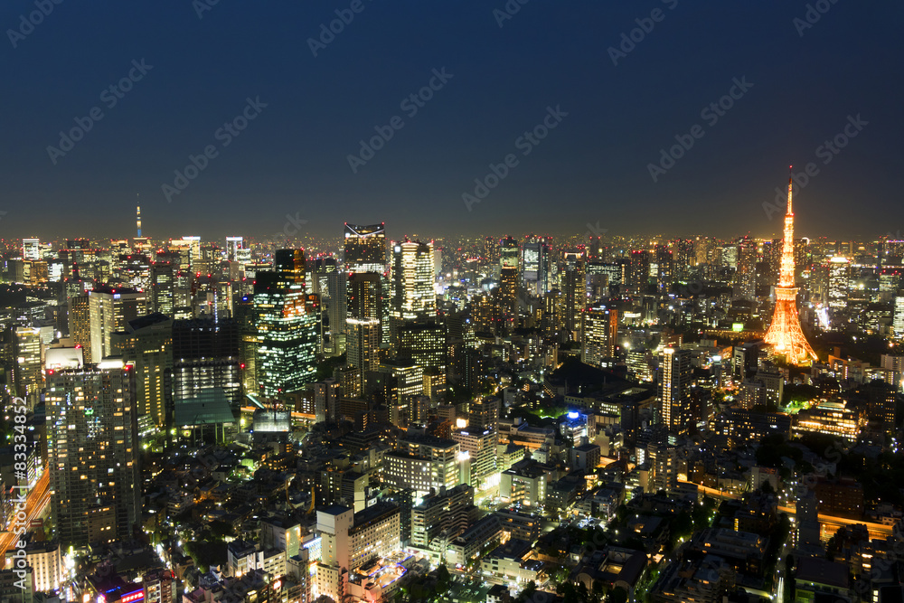 東京都市風景　六本木超高層ビルから望む東京タワーと東京スカイツリーと東京街並全景　夜景