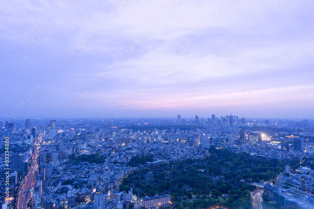 東京都市風景　六本木超高層ビルから望む東京街並全景　夕景　夜景　渋谷　新宿高層ビル