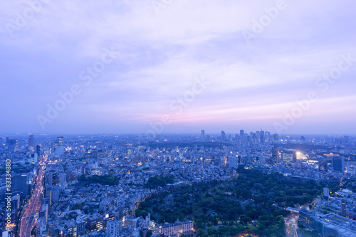 東京都市風景 六本木超高層ビルから望む東京街並全景 夕景 夜景 渋谷 新宿高層ビル