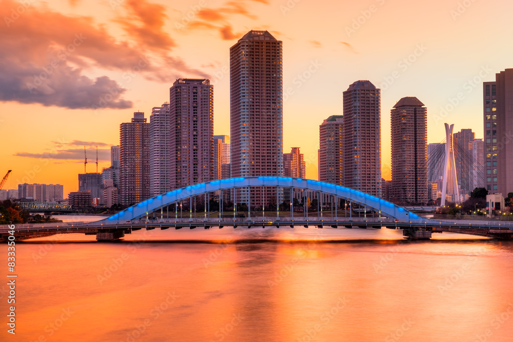 Fototapeta premium Panoramę Tokio, Japonia.