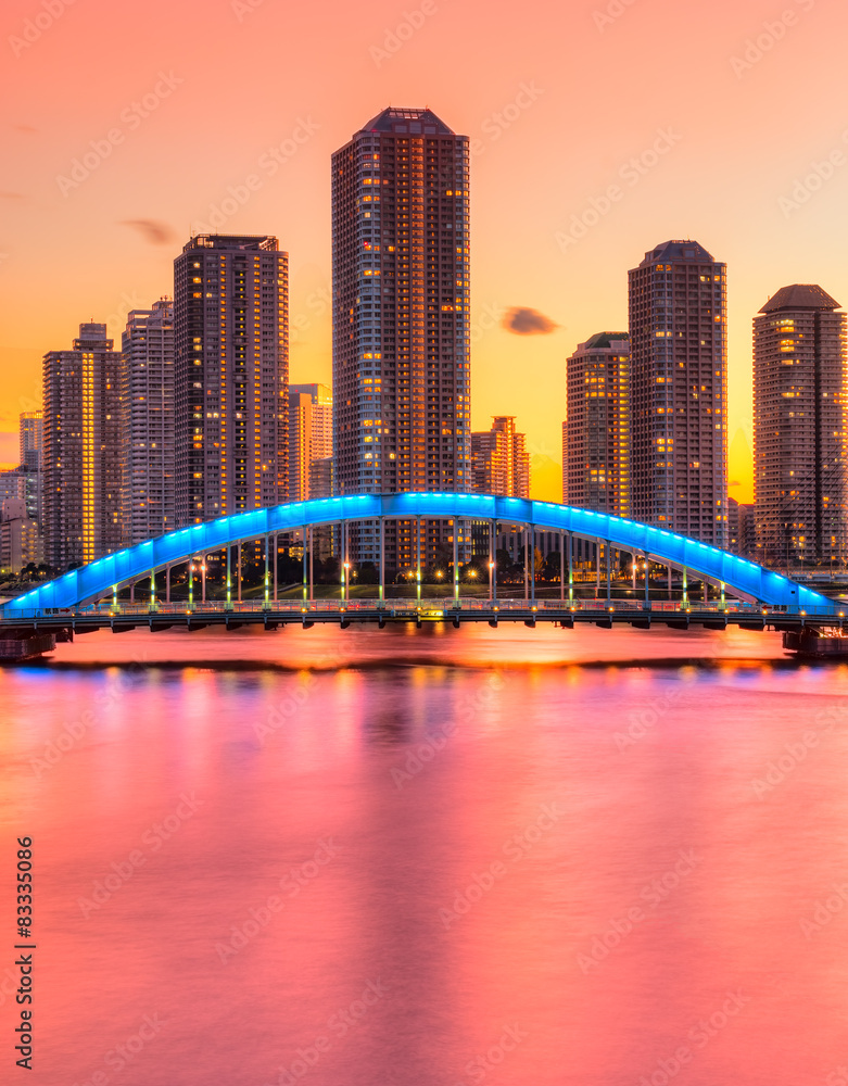 Naklejka premium Tokyo skyline, Japan.