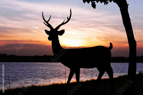Silhouettes of deer in lake water against orange sunset skyline background Wild life landscape