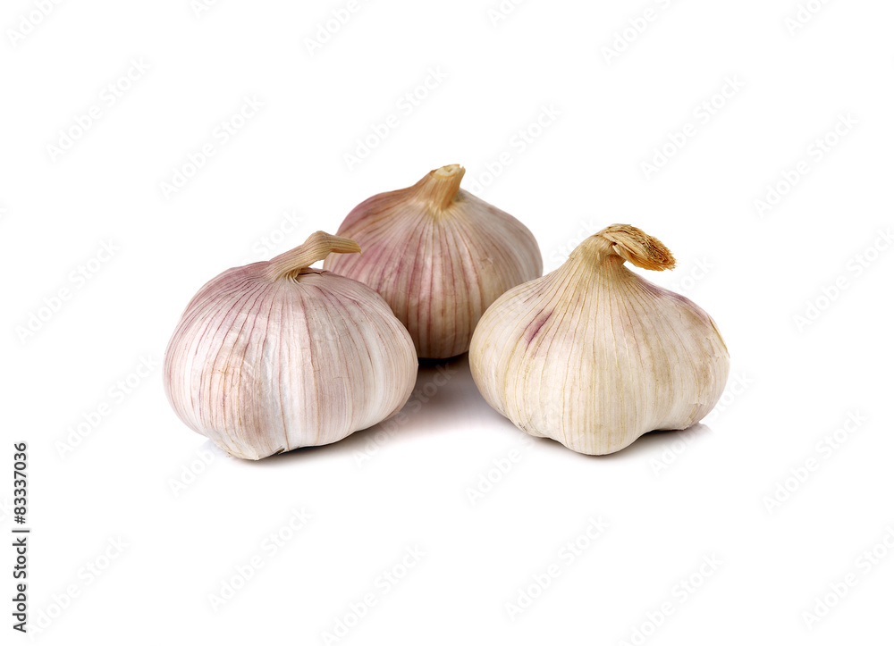 Obraz premium whole garlic bulb on white background