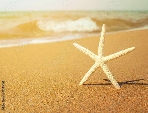 Vacation concept - Star fish on tropical sandy beach