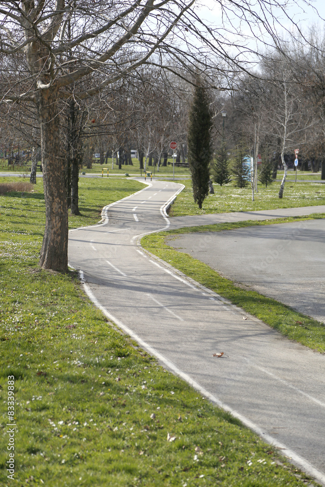 Asphalt bike track in park for bicycle