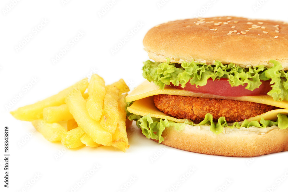 Big burger on white background