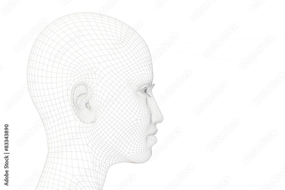 Head woman wireframe Head woman wireframe