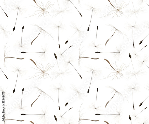 seamless background from grey dandelion seeds
