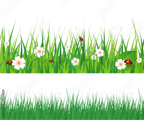 Seamless green grass
