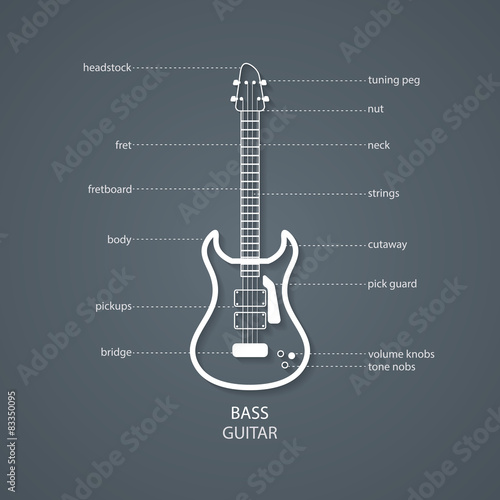 bass guitar