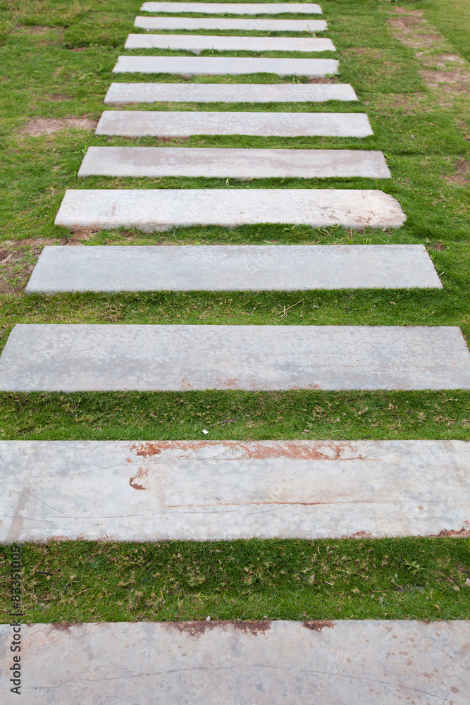 Obraz premium Walkway on green grass