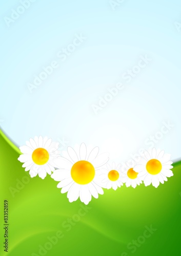 Summer background with green waves and camomiles