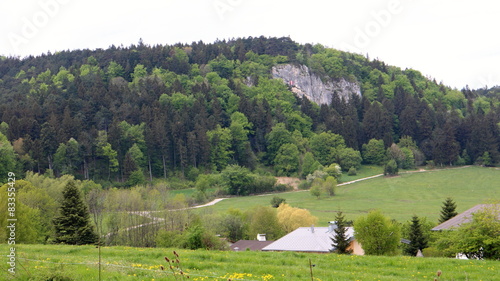 View to Dreistetten, Hohe wand, Austria  photo